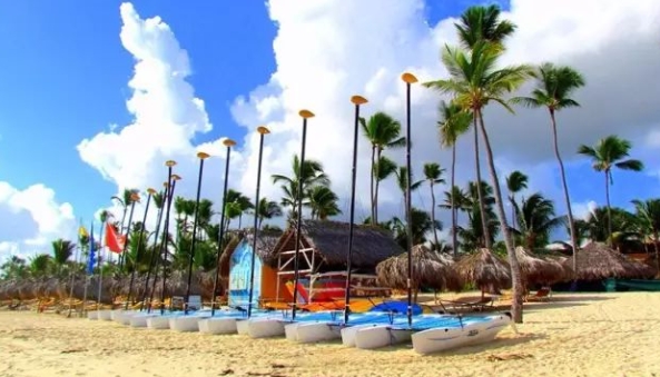 多米尼加海关数据查询平台（附免费试用查询名额）